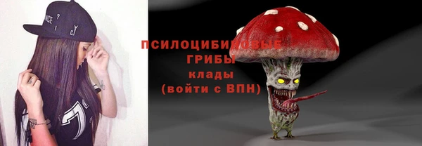 стаф Алексеевка
