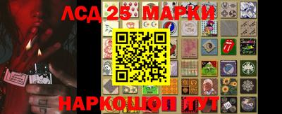 индика Кулебаки