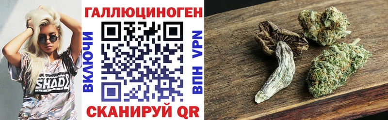 shop телеграм Димитровград Галлюциногенные грибы Psilocybine cubensis купить наркоту