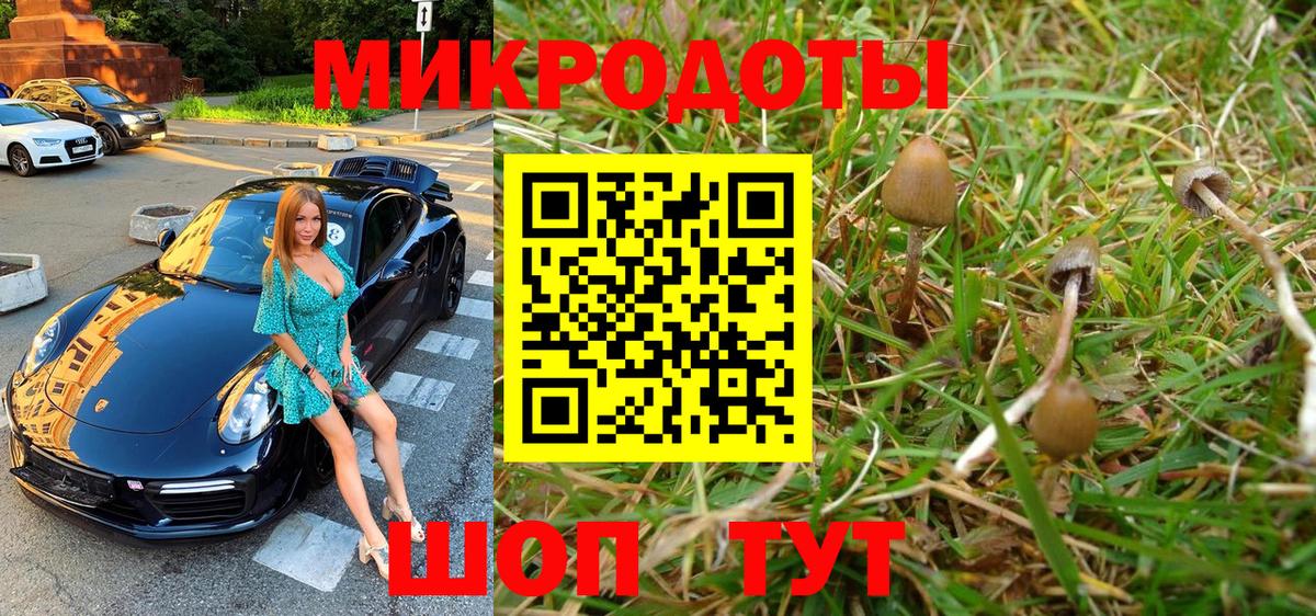 Димитровград  Псилоцибиновые грибы Magic Shrooms  Вход с VPN  Галлюциногенные грибы мицелий 
